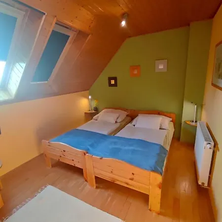 Benaja Swiss Nyaralohaz 別荘 *