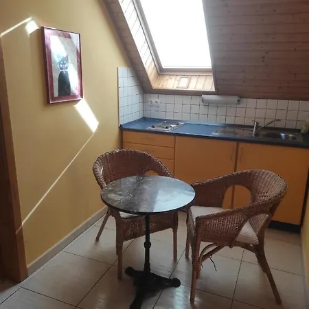 Benaja Swiss Nyaralohaz * ケストヘイ