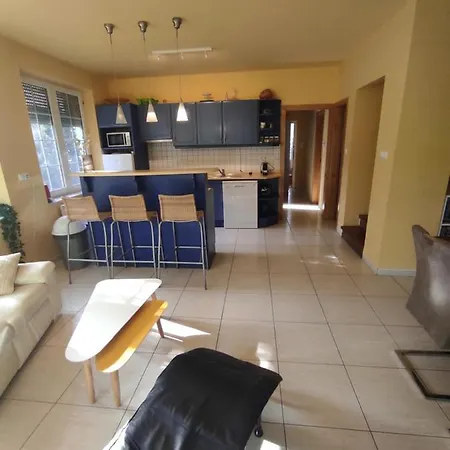 Benaja Swiss Nyaralohaz 別荘 ケストヘイ