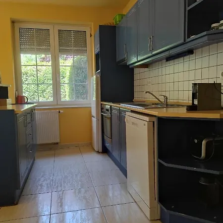 別荘 Benaja Swiss Nyaralohaz