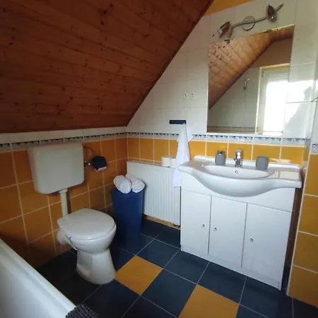 別荘 Benaja Swiss Nyaralohaz *