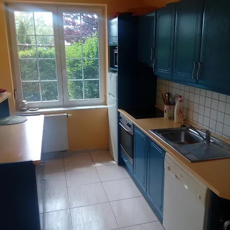 別荘 Benaja Swiss Nyaralohaz *