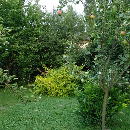 別荘 Benaja Swiss Nyaralohaz