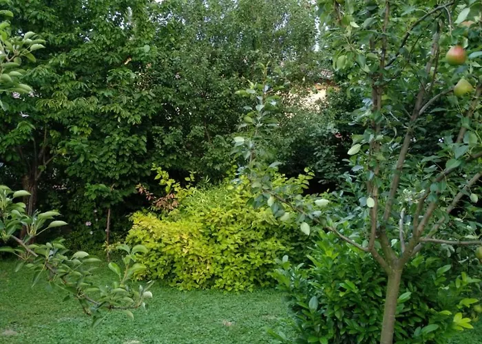 Casa vacanze Benaja Swiss